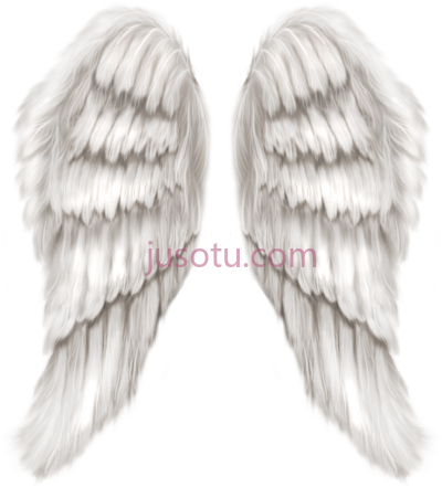天使翅膀,realistic angel wings PNG