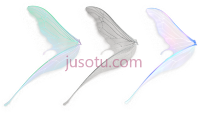 侧翼,side fairy wings PNG
