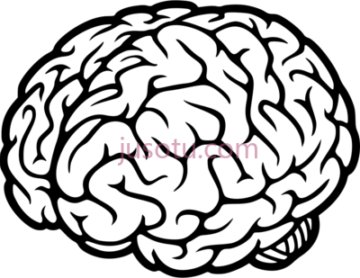 大脑,brain icon PNG