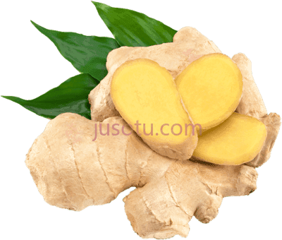 生姜,ginger PNG