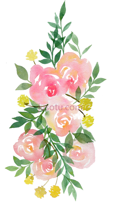 水彩花,watercolor flowers PNG