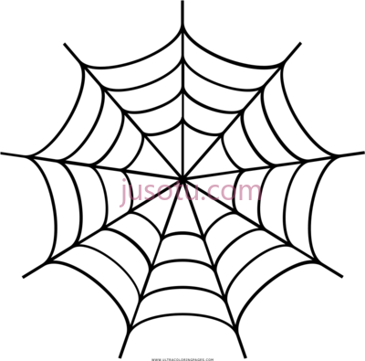 蜘蛛网,spiderweb PNG