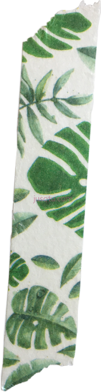 绿色胶带,green washi tape PNG