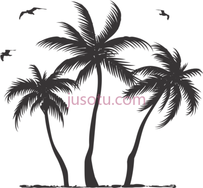 棕榈树,palm tree PNG