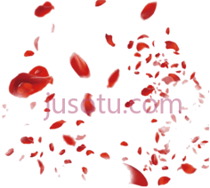 红玫瑰花瓣,falling PNG