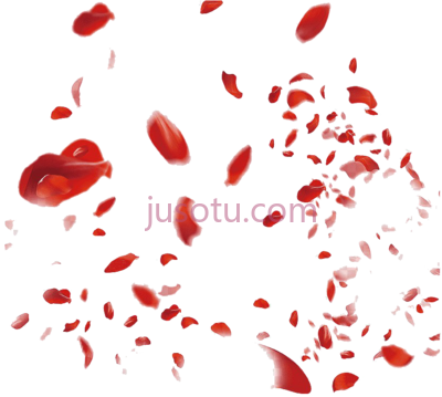 红玫瑰花瓣,red rose petals PNG