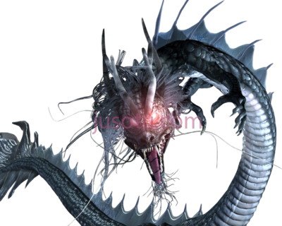 龙,dragon PNG