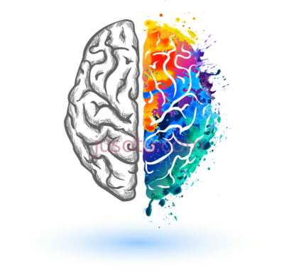 左右脑,left and right brain logo PNG