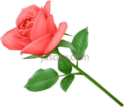 红玫瑰绿叶,red rose green leaves PNG