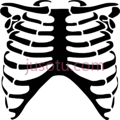 肋骨骨架PNG