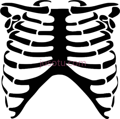 肋骨骨架,skeleton rib cage PNG