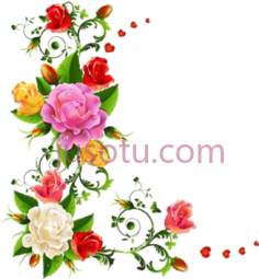 花角边,玫瑰 PNG