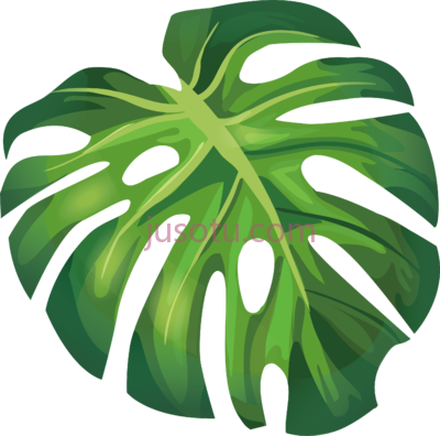 一片香蕉叶子,monstera leaf PNG