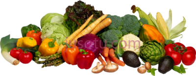 蔬菜,verduras hortalizas y legumbres PNG