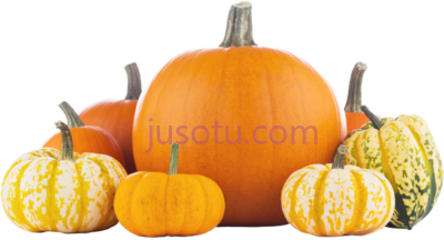 南瓜,orange and white mini pumpkins PNG