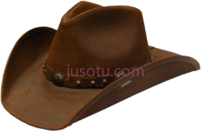 棕色牛仔帽,brown cowboy hats stetson PNG