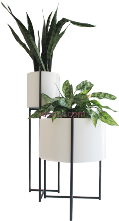 种植盆栽,indoor potted plant PNG