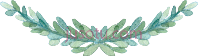 水彩绿叶,watercolor greenery border leaves PNG