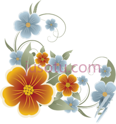 花, PNG