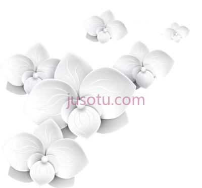 花,flowers PNG