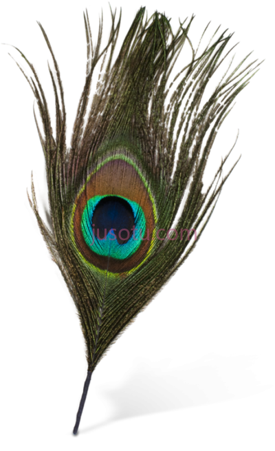 孔雀羽毛,peacock feather PNG