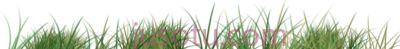 草,linea de pasto PNG