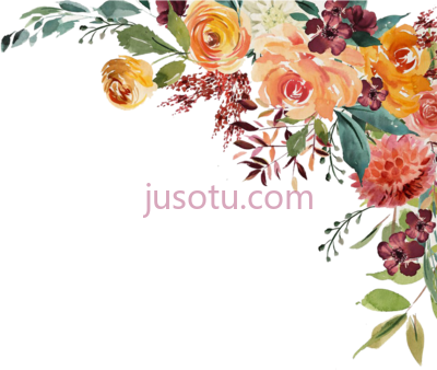 水彩花,watercolor winter christmas floral wreath fall flowers PNG