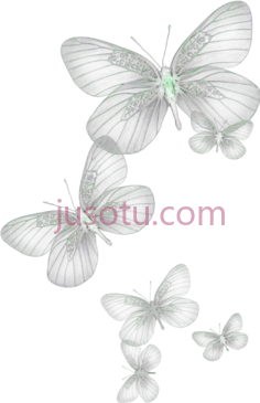 蝴蝶,昆虫,虫子,动物 PNG