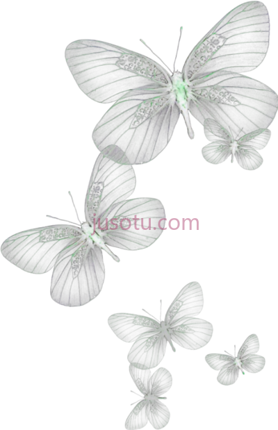 蝴蝶,butterflies glow green PNG