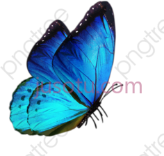 蓝蝴蝶PNG