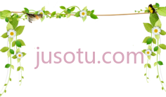 鲜藤边花,hanging PNG