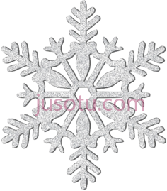 银雪花PNG