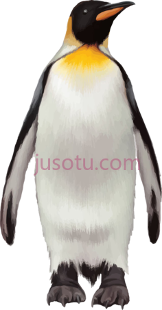 企鹅PNG