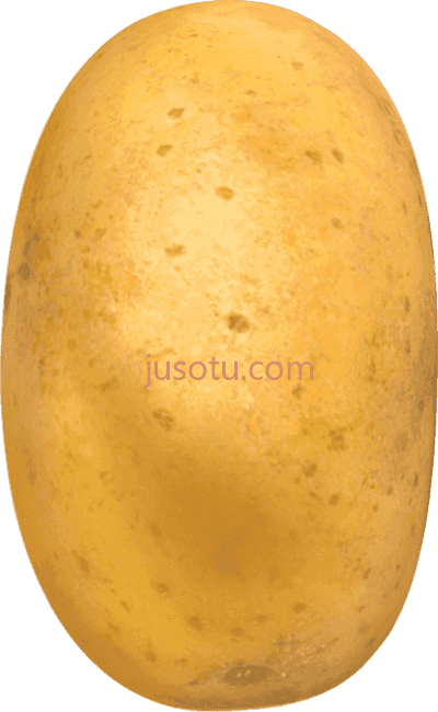 马铃薯,potato yukon gold PNG