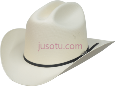 工匠牛仔帽,artesanal johnson sombreros vaqueros PNG
