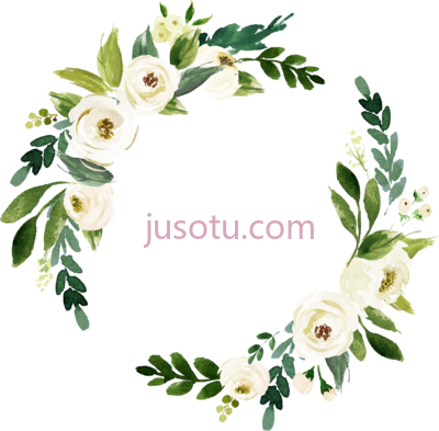 玫瑰水彩花,white roses watercolor flower PNG
