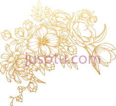 金花PNG