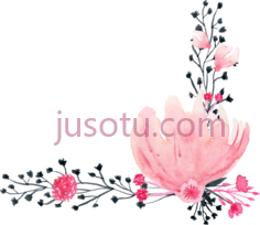 水彩花卉PNG