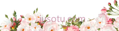 水彩花,flower border watercolor PNG