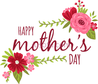 母亲节花,mothers day flowers PNG