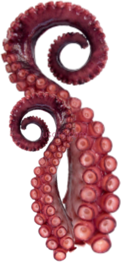 章鱼触须,tentacles octopus octopus tentacles PNG