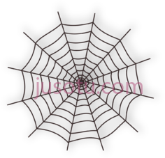 蜘蛛网,spiderweb PNG