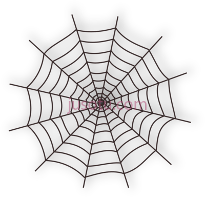 蜘蛛网,spider web PNG