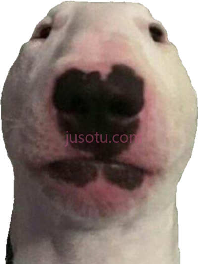 狗,walter dog meme PNG