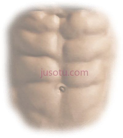 六块腹肌,six pack abs PNG