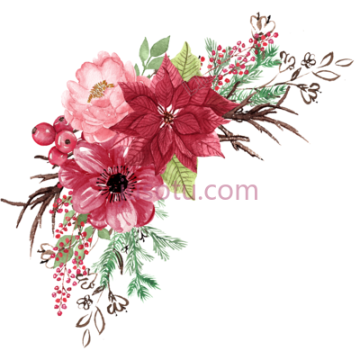 水彩花,water color flowers PNG